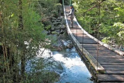 פאזל של Cerca de Puerto Blest. Provincia de RÃ­o Negro. Argentina