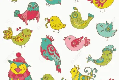 pajaros
