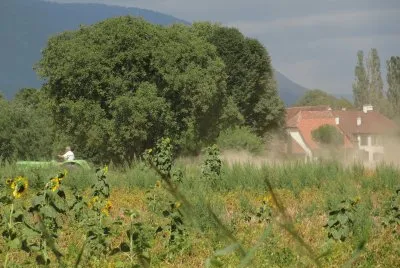 פאזל של tracteur faisant de la poussiÃ¨re