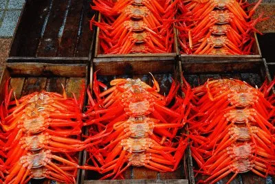 Crab jigsaw puzzle
