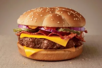 burger jigsaw puzzle