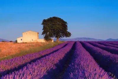 Natureza