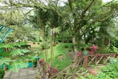 פאזל של Taman Tumbina. Bintulu. Malasia