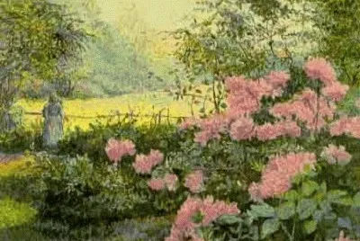 642 jigsaw puzzle