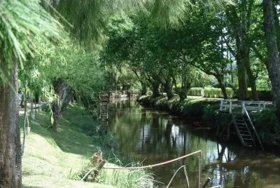 פאזל של Delta del Tigre. Buenos Aires. Argentina