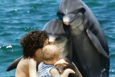 EL ACERCAMIENTO CON DELFINES MEJORA LA SALUD jigsaw puzzle