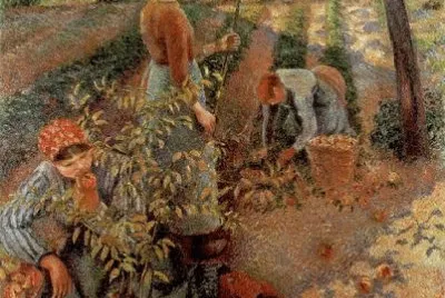 773 jigsaw puzzle