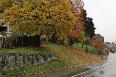 automne