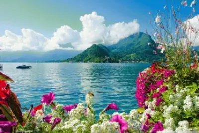 island