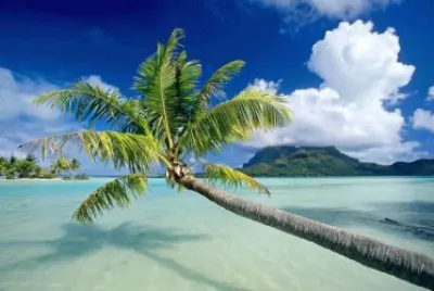 Bora Bora Beach