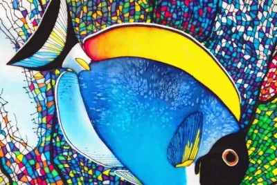 Blue Surgeonfish