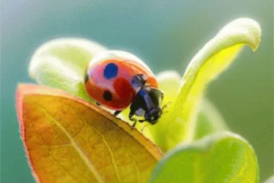 august2
