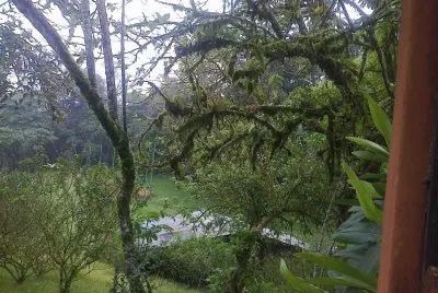 En San Rafael. Costa Rica