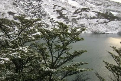 פאזל של Laguna del Caminante. Tierra del Fuego. Argentina