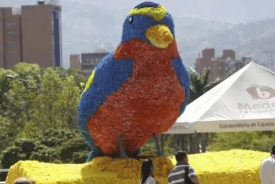 pajaro