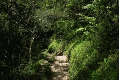 פאזל של Cerro San Javier. TucumÃ¡n. Argentina