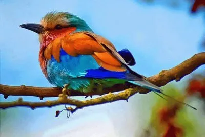 lovely bird
