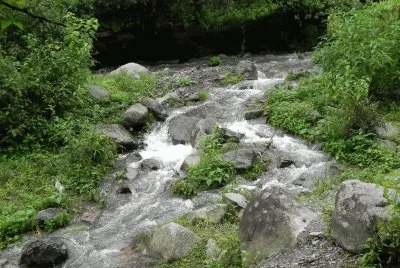 En la Quebrada de San Lorenzo. Salta. Argentina