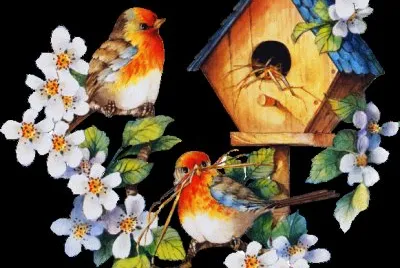 pajaros en su nido