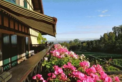 cabaÃ±a jigsaw puzzle