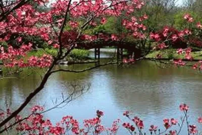 paysage jigsaw puzzle