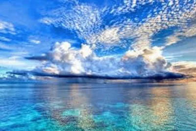 paysage jigsaw puzzle