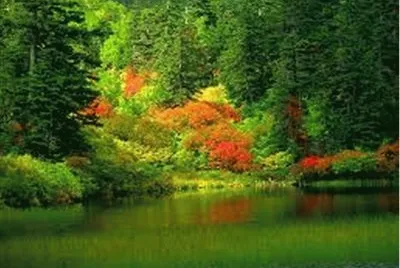paysage jigsaw puzzle