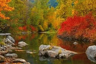 paysage jigsaw puzzle