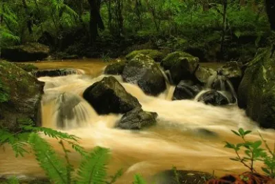 OberÃ¡. Misiones. Argentina