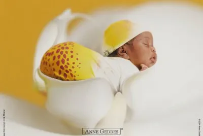 boccioli