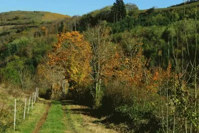 פאזל של LÃ©tra. Francia