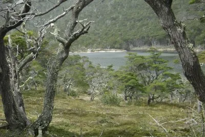 פאזל של En Tierra del Fuego. Argentina