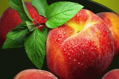 פאזל של august8