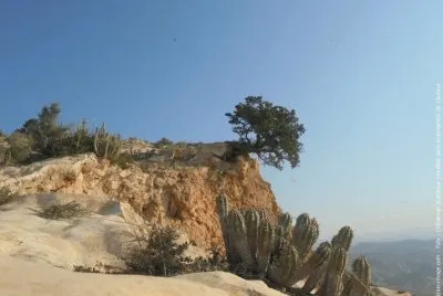Natureza