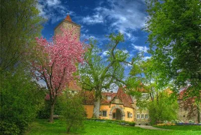 Natureza