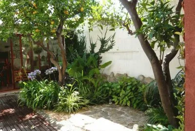 jardin