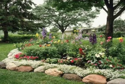 jardin
