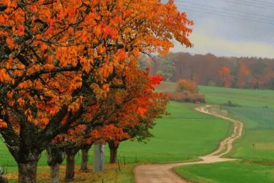 automne