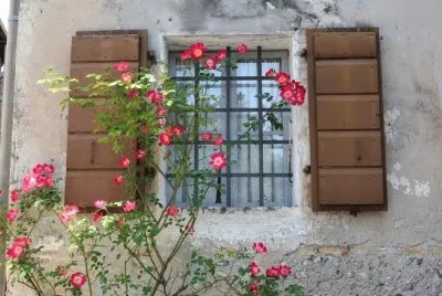 Natureza