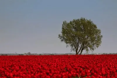 Natureza