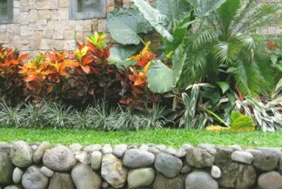 jardin