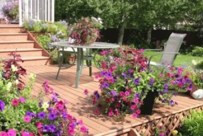 jardin