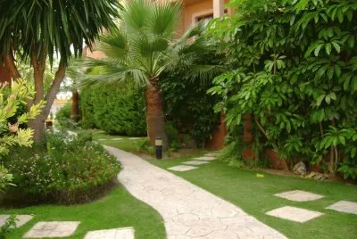 jardin