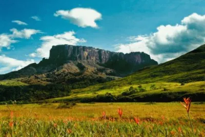 Tepuy KukenÃ¡n. Venezuela