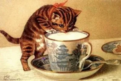 GATO
