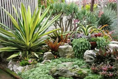 jardin