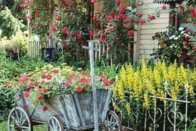 jardin