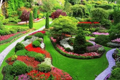 garden
