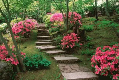 Natureza