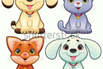 perritos